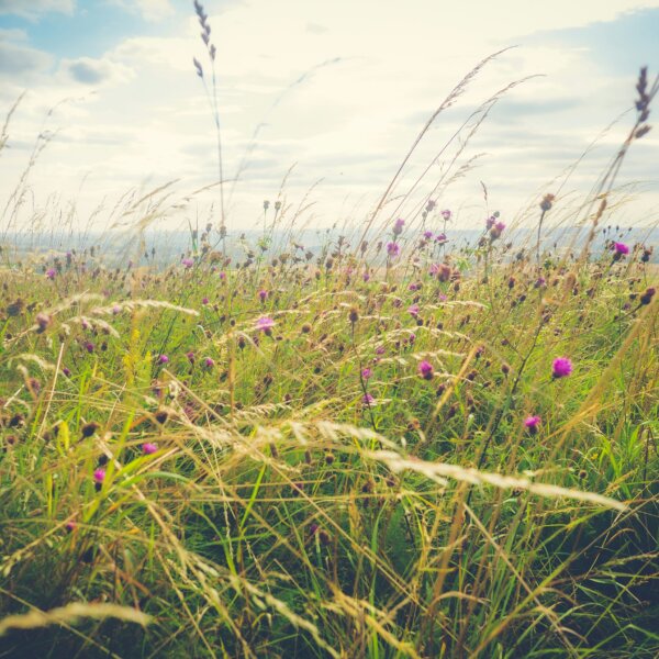 Gabriel mccallin Kg I8k26 Aq 8 unsplash