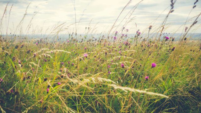 Gabriel mccallin Kg I8k26 Aq 8 unsplash