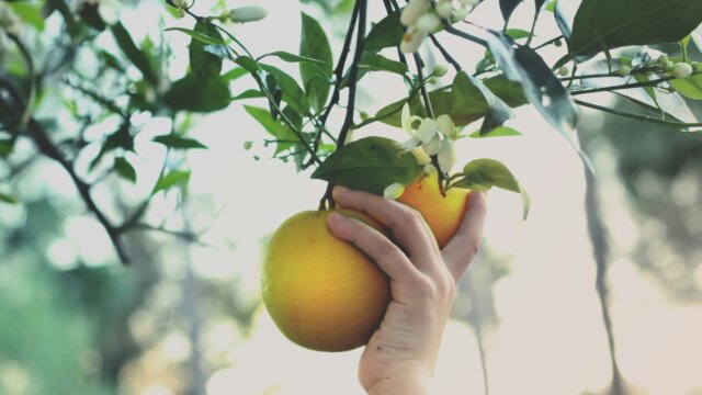 Wendy aros routman o MLM1 AJ Kj Ew unsplash