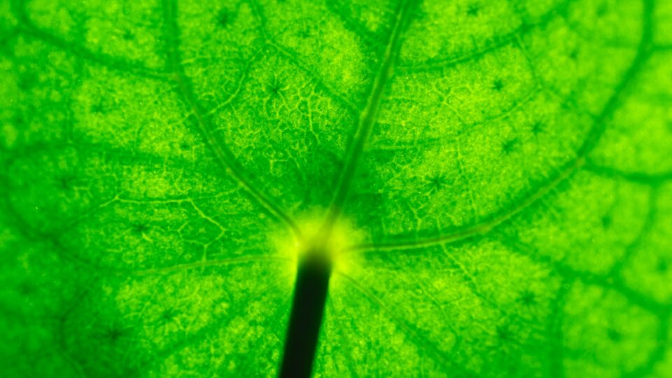 Aaron blanco tejedor ZF48 IVI Il Q unsplash