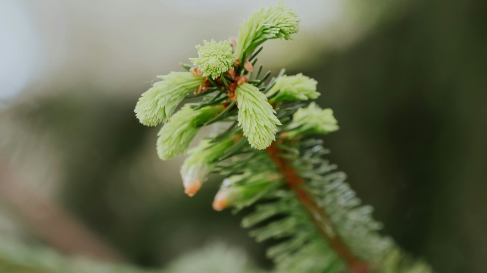 Agata ciosek Up P6v03 Akh8 unsplash