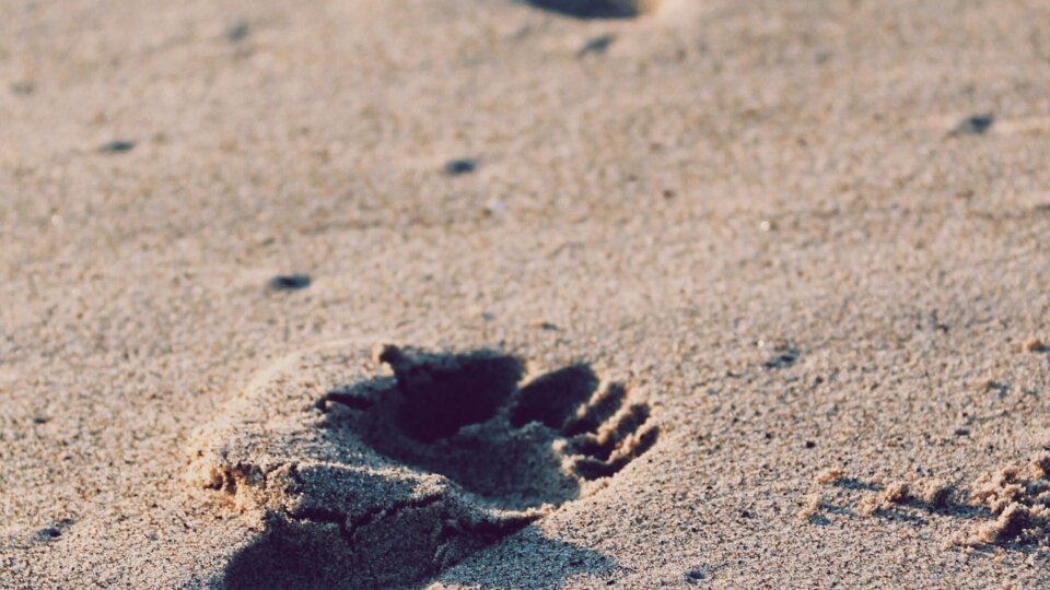 Christopher sardegna i Ry Gm A no2 Q unsplash