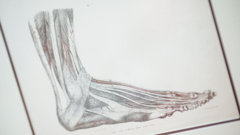 Chuttersnap Xzpa Mq Yn9wc unsplash