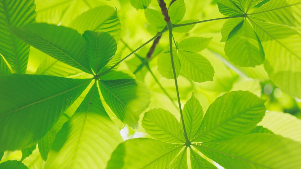 Kumiko shimizu Pxa0y J2 Elxc unsplash