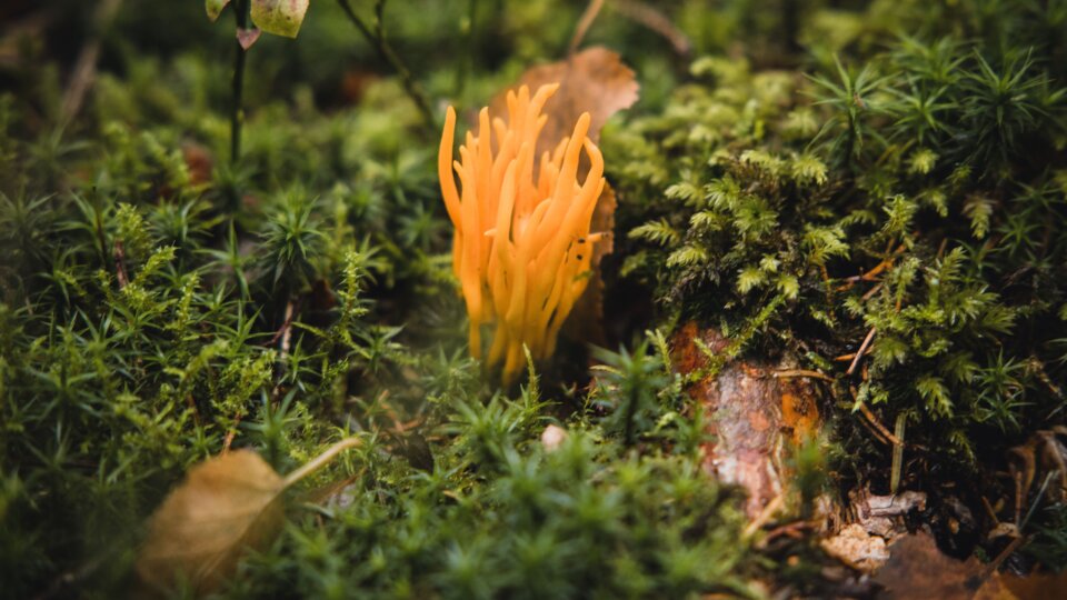 Maarten reinders Zt U9dbb RXEU unsplash