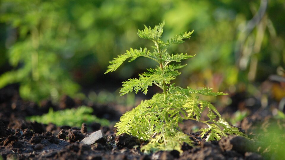 Mathias katz BD Al V Id1 Gj4 unsplash