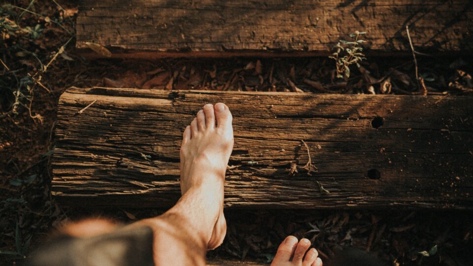 Sandro gonzalez m8 Q Qln0sig A unsplash