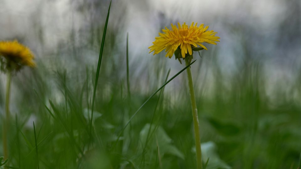 Wolfgang hasselmann h R47ea RD Mb4 unsplash