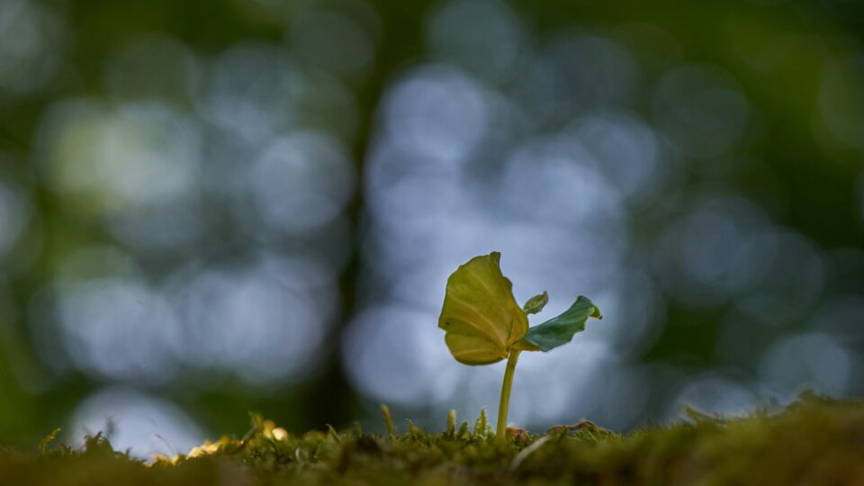 Wolfgang hasselmann x X Rmqz7 Kl Jg unsplash