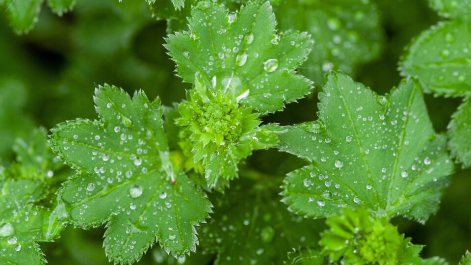 Yoksel zok aa7 IIY Idd3 A unsplash